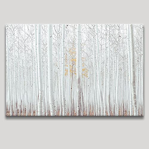 Wand-Kunst-Dekor-Poster Weiße Birke Wald Naturlandschaft Großes Bild HD-Druck Auf Leinwand Gemälde Für Wohnzimmer 70x100cm (28x39in) Mit Rahmen von Jianghu Art