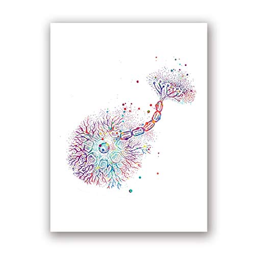 Wandkunst Neuron Aquarell Neurologie Kunst Poster Drucke Gehirn Medizin Leinwand Malerei Neuron Synapse Klinik Dekor Kunstwerk 40x70cm Kein Rahmen von Jianghu Art