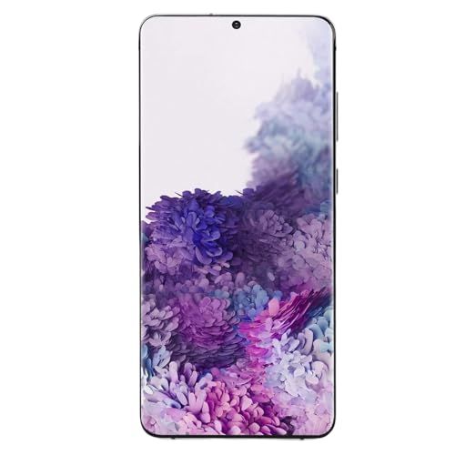 Jiawu LCD -Telefonersatzbildschirm für S20 Plus 5G, Streng Getestet, um Qualität zu Gewährleisten, Ideal für Geknackte oder Nicht Funktionierende Bildschirme (SILVER) von Jiawu