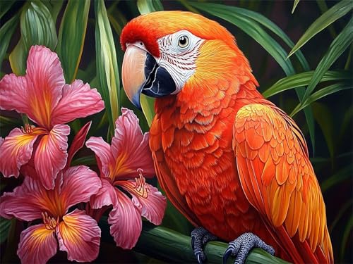 Diamond Painting Papagei 30x40cm DIY Runden Vollbohrer Blume Diamant Painting Bilder Erwachsene Kinder, 5D Crystal Art Basteln Stickerei Kreuzstich Malerei für Stressabbau, Kreatives Geschenk L-929 Diamond Painting Papagei 30x40cm DIY Runden Vollbohrer Blume Diamant Painting Bilder Erwachsene Kinder, 5D Crystal Art Basteln Stickerei Kreuzstich Malerei für Stressabbau, Kreatives Geschenk L-929 von Jiaxaong