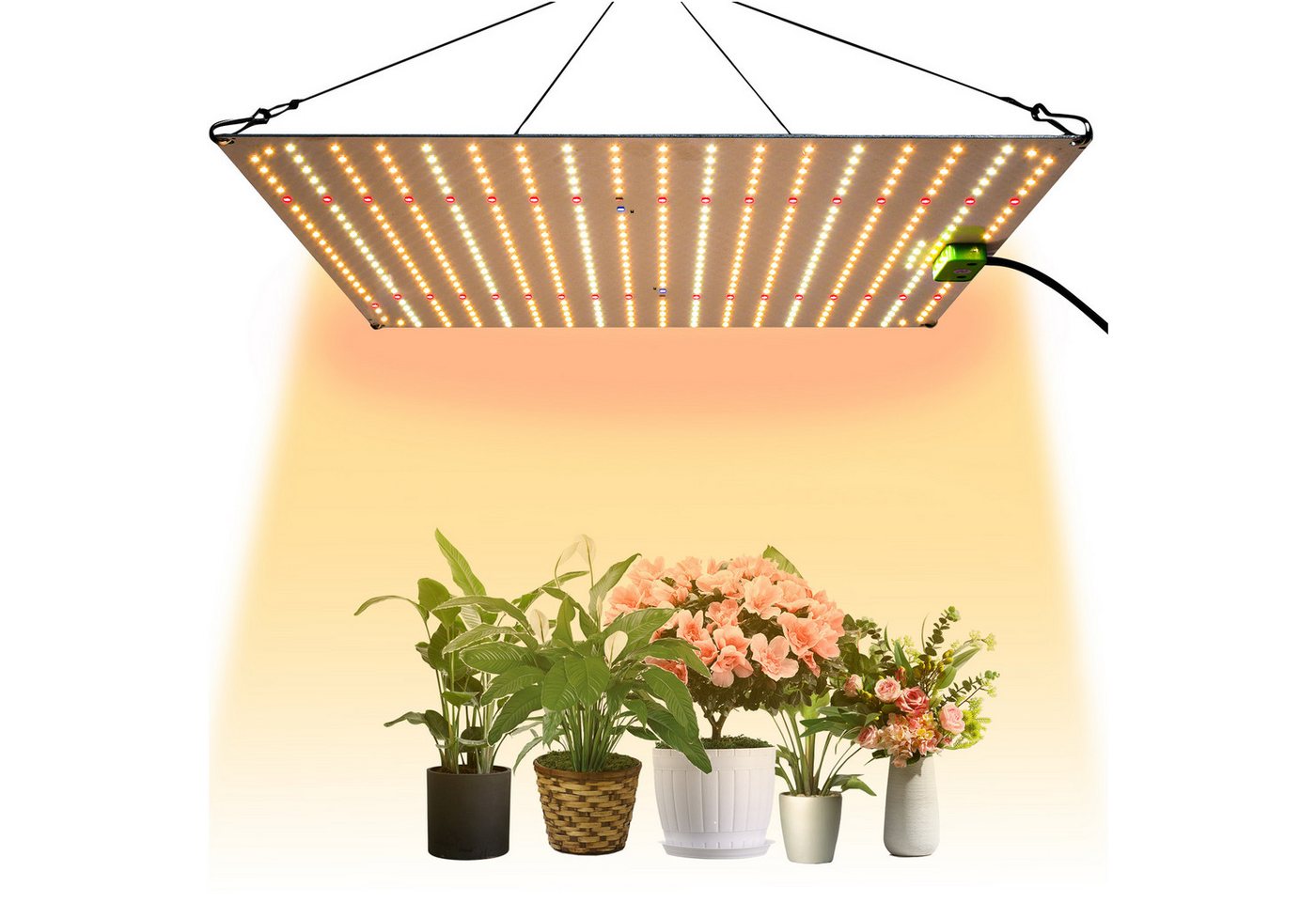 Jibenhome Pflanzenlampe PPFD LED Pflanzenlampe Vollspektrum mit UV IR, Ultradünn, Ruhig, 150W, 120W/150W Dimmbare Wachstumslampe für Zimmerpflanzen, Gemüse, Blume Jibenhome Pflanzenlampe PPFD LED Pflanzenlampe Vollspektrum mit UV IR, Ultradünn, Ruhig, 150W, 120W/150W Dimmbare Wachstumslampe für Zimmerpflanzen, Gemüse, Blume von Jibenhome