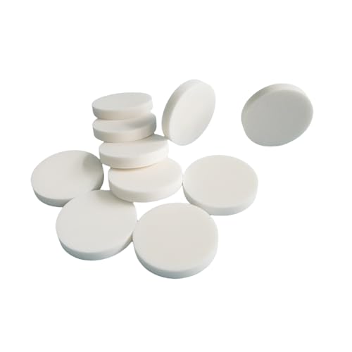 10 Stück Aluminiumoxid-Keramikplattenscheiben Al₂O₃ ≥ 99% – Hochtemperatur-Isolierdichtung for Labore und industrielle Nutzung(Φ58.8mm*3.5mm) von JigyHa