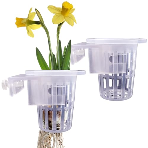 Jiimhte Wasserpflanzentopf - 2 Stück Wasserpflanzenhalter mit Löchern - Aquarium-Blumentopf mit Löchern, transparenter Aquarium-Pothos-Halter für den Anbau von Wasserpflanzen, Wasserspiel-Dekoration Jiimhte Wasserpflanzentopf - 2 Stück Wasserpflanzenhalter mit Löchern - Aquarium-Blumentopf mit Löchern, transparenter Aquarium-Pothos-Halter für den Anbau von Wasserpflanzen, Wasserspiel-Dekoration von Jiimhte