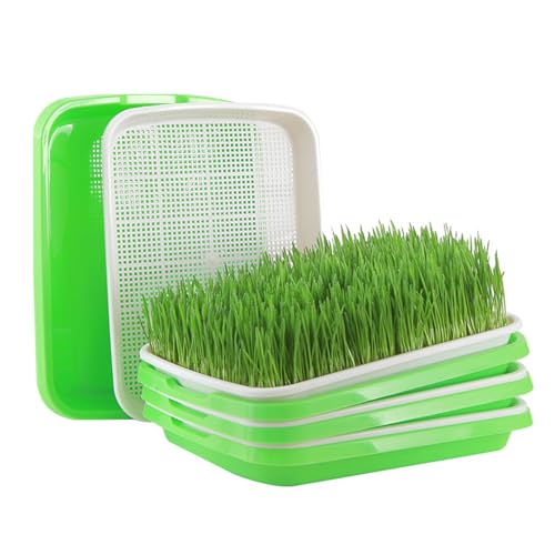 Jilskl Pack of 4 Germination Tray, Germination Container for Wheatgrass, Earth-Free Germination Tray, Reusable Seed Tray, Used for Planting Mung Beans, Alfalfa, Wheat Grass, and Bean Sprouts von Jilskl
