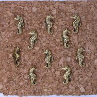 Seepferdchen Druckknöpfe - Pn136 - Home Office - Seepferdchen, Aquarium, Marine Und Ozean Tier Dekor Korkbrett Tacks von JimClift