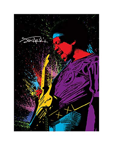 Jimi Hendrix Kunstdrucke, Papier, Mehrfarbig, 60 x 80 cm von Pyramid International