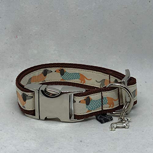 Jimmy und Katz Hundehalsband Dackel Teckel Creme 26-40cm x 2cm von Jimmy und Katz