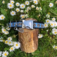 Hundehalsband Brezen Brezl Blau von JimmyundKatz