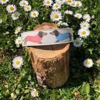 Hundehalsband Dackel Neu Hundehalsband Dackel Neu von JimmyundKatz