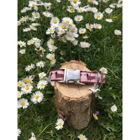 Hundehalsband Dackel Rosa von JimmyundKatz