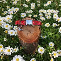Hundehalsband "Dackel Rot" von JimmyundKatz