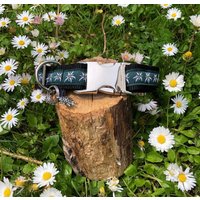 Hundehalsband Edelweiss Grün Neu von JimmyundKatz