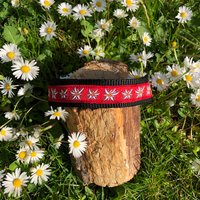 Hundehalsband Edelweiss Rot Neu von JimmyundKatz
