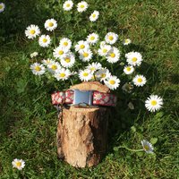 Hundehalsband Edelweiss Rot von JimmyundKatz