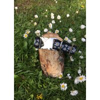 Hundehalsband Edelweiß von JimmyundKatz