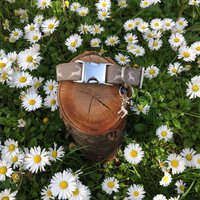 Hundehalsband "Hirsch Creme" von JimmyundKatz