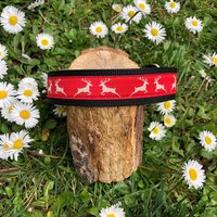 Hundehalsband "Hirsch Rot" von JimmyundKatz