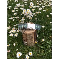 Hundehalsband Sterne Mint Auf Grau von JimmyundKatz