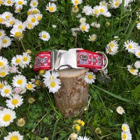Hundehalsband Tracht Spatzl Rot von JimmyundKatz