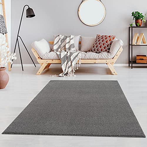 Fashion4Home Teppich Wohnzimmer – Einfarbig, Uni Teppich fürs Kinderzimmer, Schlafzimmer, Arbeitszimmer, Büro, Flur und Küche - Kurzflor, Hellgrau, Größe: 120x170 cm von Jimri