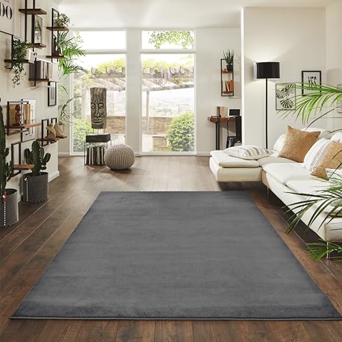 Jimri Flauschiger Teppich Läufer - Hochwertiger Kurzflor für Zuhause, Büro, Küche, Eingang, Flur, Wohnzimmer - Maschinenwaschbar - Rutschfester Teppich Waschbar - 80x150 cm - Anthrazit Jimri Flauschiger Teppich Läufer - Hochwertiger Kurzflor für Zuhause, Büro, Küche, Eingang, Flur, Wohnzimmer - Maschinenwaschbar - Rutschfester Teppich Waschbar - 80x150 cm - Anthrazit von Jimri