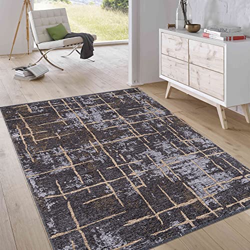 Jimri Kurzflor Wendeteppich - Flach gewebter Teppich für Schlafzimmer & Wohnzimmer, Eingang, Flur - Maschinengefertigt, weicher Polyester- & Baumwoll-Läufer - Streifen-Grau, Grösse : 115x170 cm Jimri Kurzflor Wendeteppich - Flach gewebter Teppich für Schlafzimmer & Wohnzimmer, Eingang, Flur - Maschinengefertigt, weicher Polyester- & Baumwoll-Läufer - Streifen-Grau, Grösse : 115x170 cm von Jimri