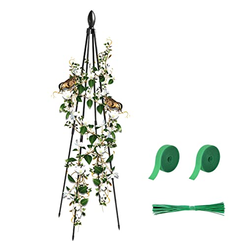 Pflanzenklettergerüst – Pflanzengitter für Garten | Pulverbeschichtung Pflanzenkletterhilfe Werkzeug für Rosen, Efeu, Klematis und Tomaten Jimtuze von Jimtuze