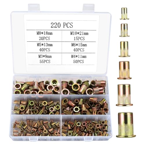 Nietmuttern Sortiment, 220 Stk Einnietmuttern Set, M3 M4 M5 M6 M8 M10 Runde Flachkopf Gewinde Rivet Nutsert Cap Muttern, Zugnietmutter Blindnietmuttern für Metallplatten, Rohre usw von JinZeYou