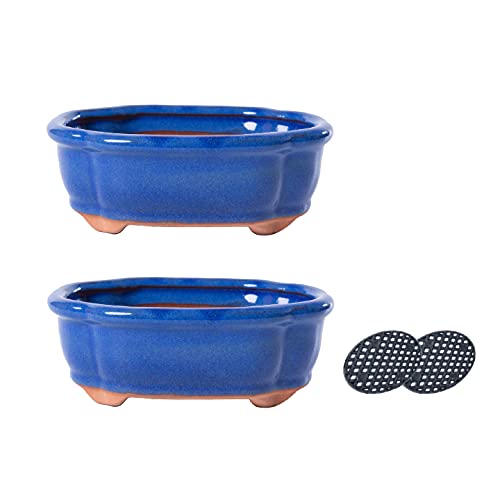 Jinfa 2er Set Bonsai Schalen Keramik (oval, 15 x 11,5 x 5,5 cm) – Blau-Glasur – Mit Drainageloch & Gitter – Handgefertigte Bonsaitöpfe für Zimmerbonsai & Sukkulenten – Frostfest & dekorativ von Jinfa