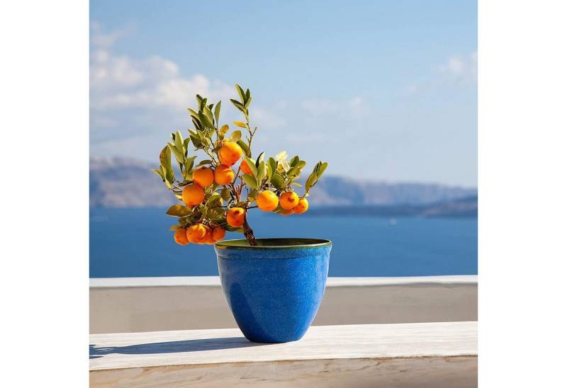 Jinfa Pflanzkübel Jinfa Blumenkübel aus Kunststoff in glasierter Keramikoptik von Jinfa