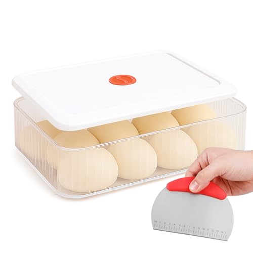 Jinfanshurich Pizzaballenbox mit Deckel, 4000ml Teigbox Pizza mit Teigkarte, BPA freie Teigbox für Kühlschrank Mikrowelle, luftdichte Pizza Box für Gärung Aufbewahrung (1x Box + 1x Deckel) von Jinfanshurich