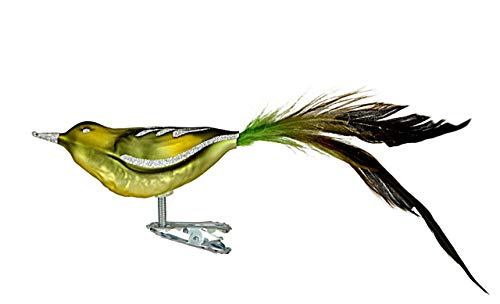 Jingle Bells Lauscha Glasvogel Airbrush grün mit Langer Feder 3Stück per Box Jingle Bells Lauscha Glasvogel Airbrush grün mit Langer Feder 3Stück per Box von Jingle Bells Lauscha