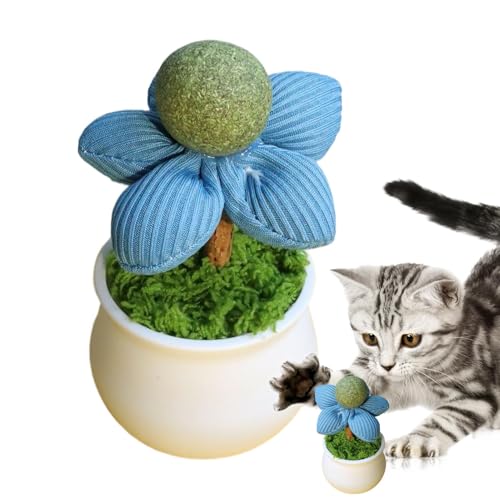Catnip Lick Balls for Cats, Catnip Toys for Cats | Blumentopf-Design, Supplies für Haustiere für Kätzchen, interaktiv, Safe, gesund für Katze, Nett Catnip Lick Balls for Cats, Catnip Toys for Cats | Blumentopf-Design, Supplies für Haustiere für Kätzchen, interaktiv, Safe, gesund für Katze, Nett von Jingmiger