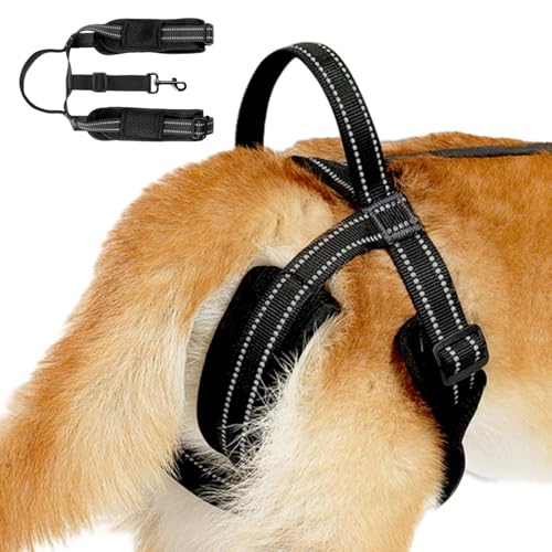 Hebegeschirr für Hunde, Hundegeschirr - Hüftunterstützungsgeschirr mit reflektierenden Streifen für Hunde bequem - Westengeschirr mit robustem Griff, Hebegeschirr für ältere Hunde Hebegeschirr für Hunde, Hundegeschirr - Hüftunterstützungsgeschirr mit reflektierenden Streifen für Hunde bequem - Westengeschirr mit robustem Griff, Hebegeschirr für ältere Hunde von Jingmiger