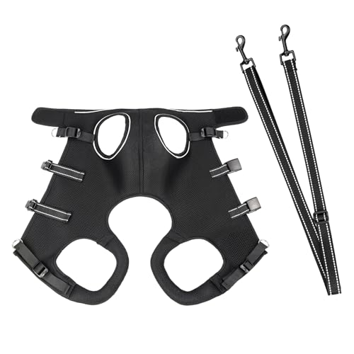 Hebegeschirr für Hunde | Rehabilitationsgeschirr zur Unterstützung der – atmungsaktive Hebejacke für ältere Hunde – Training und Ausflüge im Freien Hebegeschirr für Hunde | Rehabilitationsgeschirr zur Unterstützung der – atmungsaktive Hebejacke für ältere Hunde – Training und Ausflüge im Freien von Jingmiger