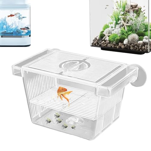 -Isolierbox – Akklimatisierungsbox für Aquarienabscheider für aggressive Fische – Aquarium-Inkubator aus Acryl für Babys Fische, , Betta und Guppy von Jingmiger