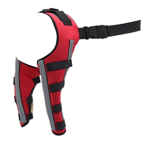 Jingmiger Hundestütze Für Knie | Einstellbare Stützbandage - Hundebein Stützbandage,Zur Wiederherstellung Nach Training Outdoor Schwäche Fixierung Mobilität Jingmiger Hundestütze Für Knie | Einstellbare Stützbandage - Hundebein Stützbandage,Zur Wiederherstellung Nach Training Outdoor Schwäche Fixierung Mobilität von Jingmiger