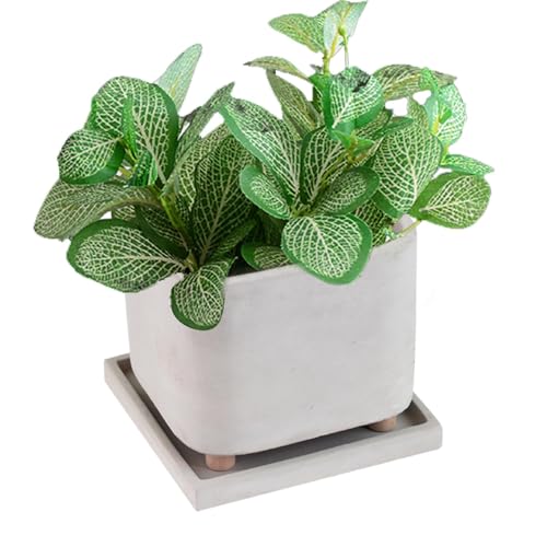 Jingmiger Pflanztopf auf Füßen, Pflanzgefäß auf Füßen | Indoor-Blumentopf mit Tablett | Behälter, Kreativtopf für Sukkulenten und Kleine, Innendekoration von Jingmiger