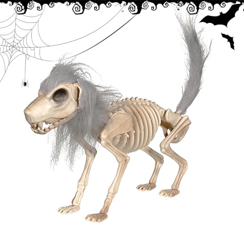 Jingmiger Skelett-Hund,Gruselig Tier Modell - Flexible Schädel Deko Mit Haaren Gruseliges Zubehör Für Rasen Tisch Terrasse Dekoration Verbesserte Halloween Atmosphäre Jingmiger Skelett-Hund,Gruselig Tier Modell - Flexible Schädel Deko Mit Haaren Gruseliges Zubehör Für Rasen Tisch Terrasse Dekoration Verbesserte Halloween Atmosphäre von Jingmiger