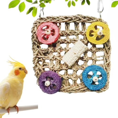 Spielzeug für Wellensittiche und | Naturspielzeug für Nymphensittiche | Zubehör für Kleintiere – Spiele für drinnen und draußen, Käfig & Voliere, Klettertraining und Suche Spielzeug für Wellensittiche und | Naturspielzeug für Nymphensittiche | Zubehör für Kleintiere – Spiele für drinnen und draußen, Käfig & Voliere, Klettertraining und Suche von Jingmiger