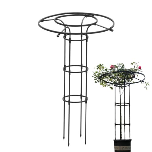Jingyash Garten Rankgitter Für Kletterpflanzen - Stützgerüst Für Rankpflanzen Im Garten - Metall Rankhilfe Mit Säulenform Für Blumen, Zimmerpflanzen & Rankgewächse Jingyash Garten Rankgitter Für Kletterpflanzen - Stützgerüst Für Rankpflanzen Im Garten - Metall Rankhilfe Mit Säulenform Für Blumen, Zimmerpflanzen & Rankgewächse von Jingyash