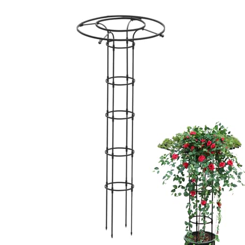 Jingyash Garten Rankgitter für Kletterpflanzen - Stützgerüst Für Rankpflanzen Im Garten,Metall Rankhilfe Mit Säulenform Für Blumen, Zimmerpflanzen & Rankgewächse Jingyash Garten Rankgitter für Kletterpflanzen - Stützgerüst Für Rankpflanzen Im Garten,Metall Rankhilfe Mit Säulenform Für Blumen, Zimmerpflanzen & Rankgewächse von Jingyash