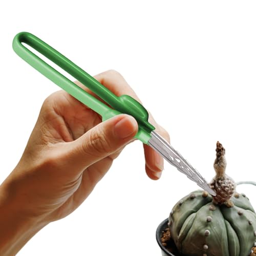 Jingyash Gerade Pinzette zum Basteln | Pinzette mit gebogener gezackter Spitze für Bonsai-Werkzeuge - Gerade und gebogene Zangen aus Edelstahl mit komfortablem Griff für die täglichen Gartengeräte Jingyash Gerade Pinzette zum Basteln | Pinzette mit gebogener gezackter Spitze für Bonsai-Werkzeuge - Gerade und gebogene Zangen aus Edelstahl mit komfortablem Griff für die täglichen Gartengeräte von Jingyash