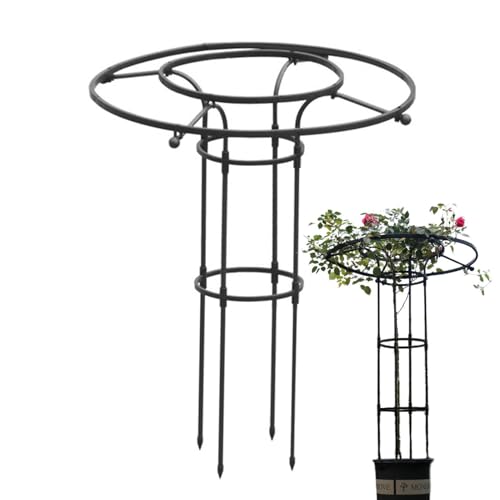 Jingyash Outdoor Rankgitter Für Kletterpflanzen, Vertikale Blumenstütze, Metall Rankhilfe Mit Säulenform Für Blumen, Zimmerpflanzen & Rankgewächse Jingyash Outdoor Rankgitter Für Kletterpflanzen, Vertikale Blumenstütze, Metall Rankhilfe Mit Säulenform Für Blumen, Zimmerpflanzen & Rankgewächse von Jingyash