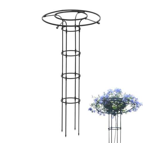 Jingyash Rankgitter Für Kletterpflanzen Im Freien | Stützgerüst Für Rankpflanzen Im Garten - Metall Rankhilfe Mit Säulenform Für Blumen, Zimmerpflanzen & Rankgewächse Jingyash Rankgitter Für Kletterpflanzen Im Freien | Stützgerüst Für Rankpflanzen Im Garten - Metall Rankhilfe Mit Säulenform Für Blumen, Zimmerpflanzen & Rankgewächse von Jingyash