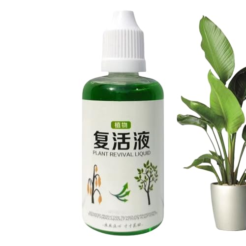 Jingyash Wurzelstimulator | Organischer Nährstoffdünger Für Wurzeln - 50ml Natürlicher Flüssigdünger Für Boden Kompost Blumen Garten Gras Bonsai Rasen Stecklinge Jingyash Wurzelstimulator | Organischer Nährstoffdünger Für Wurzeln - 50ml Natürlicher Flüssigdünger Für Boden Kompost Blumen Garten Gras Bonsai Rasen Stecklinge von Jingyash