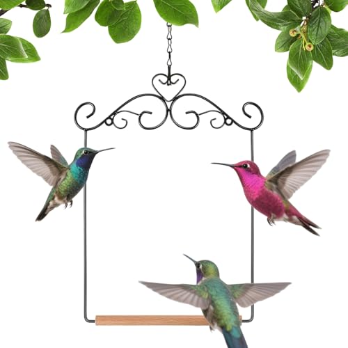 Kolibri-Schaukeln und Sitzstangen Metallrahmen, Hängende Vogelschaukel Vogelsitzstange mit Holzdübel und Aufhängeketten für den Außenbereich, Stamm, Rasen, Terrasse, Garten Kolibri-Schaukeln und Sitzstangen Metallrahmen, Hängende Vogelschaukel Vogelsitzstange mit Holzdübel und Aufhängeketten für den Außenbereich, Stamm, Rasen, Terrasse, Garten von Jingyash