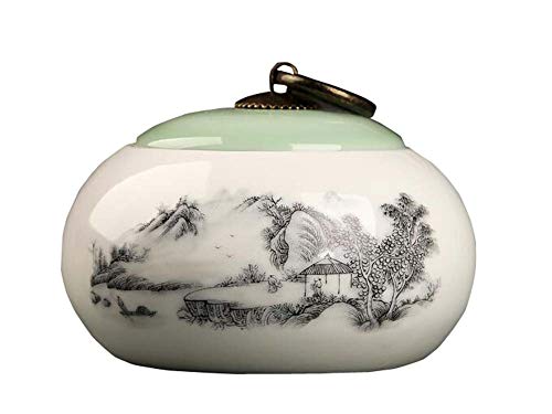 Jingyun Traditionelle Teedose-Ausgangsverzierung der japanischen Keramik-Teedose B13 von Jingyun