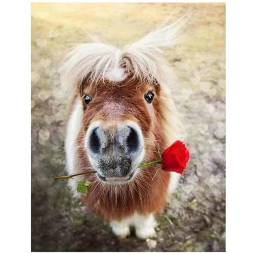 5D Diamond Painting Erwachsene Kit,Pony Rose Diamant Painting Bilder,DIY Diamond Art für Erwachsene Kinder Kristall Strass Kreuzstich Stickerei Malen Nach Zahlen Geschenke Wand Deko,50x70cm 5D Diamond Painting Erwachsene Kit,Pony Rose Diamant Painting Bilder,DIY Diamond Art für Erwachsene Kinder Kristall Strass Kreuzstich Stickerei Malen Nach Zahlen Geschenke Wand Deko,50x70cm von Jinmer