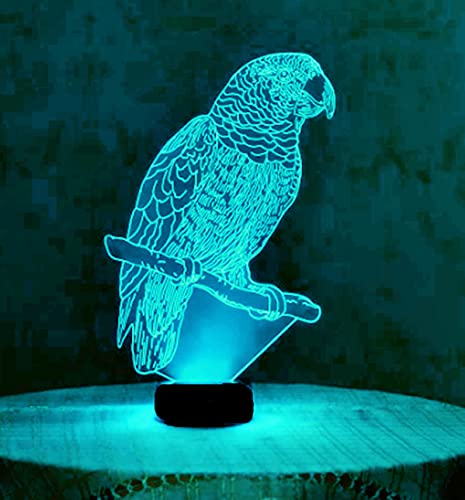 Jinson well 3D Papagei Vogel Nachtlicht led Lampe optische Nacht licht Illusion 7 Farbwechsel Touch Switch Tisch Schreibtisch Dekoration Lampen mit Acryl Base USB Spielzeug von Jinson well